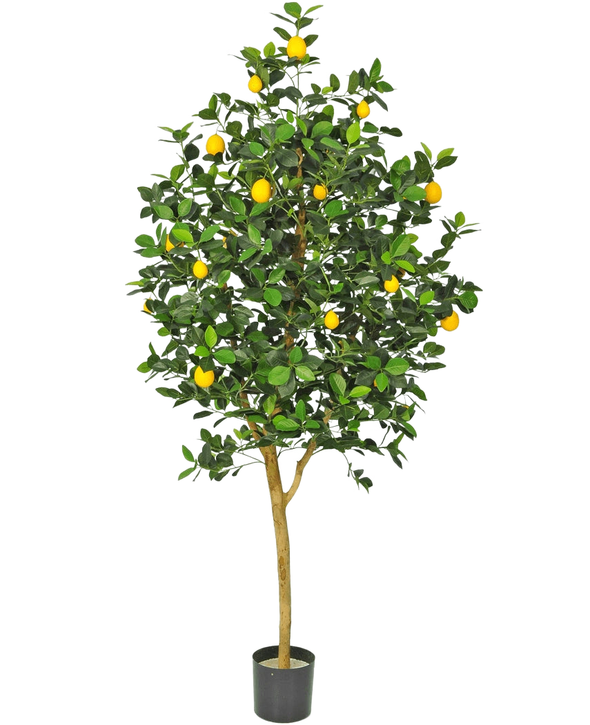 Der künstliche Zitronenbaum 150 cm hat einen braunen Stamm, grüne Blätter und mehrere gelbe Zitronen in einem Topf vor einem schlichten weißen Hintergrund.