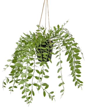 Die künstliche Hängepflanze Pumila im 30 cm Topf hat grüne Ranken mit ovalen Blättern, die an drei Schnüren vor einem schlichten weißen Hintergrund hängen.