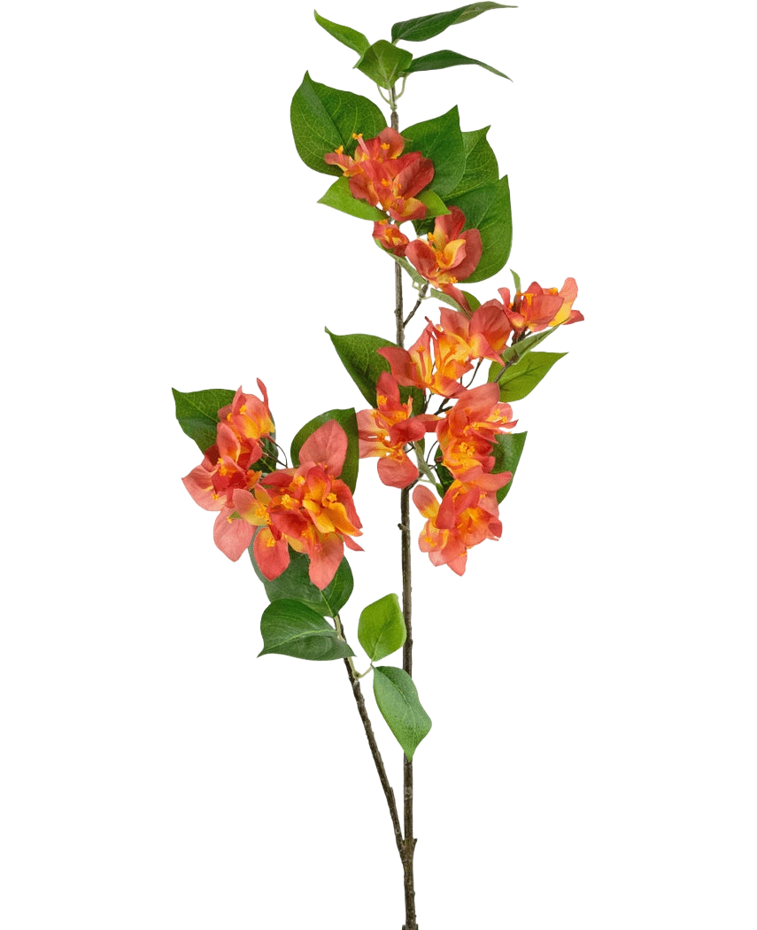 Der künstliche Zweig Bougainvillea 81 cm Pfirsich hat einen einzelnen Stiel mit Büscheln pfirsichoranger und gelber Blüten, ergänzt durch grüne Blätter, vor einem weißen Hintergrund.