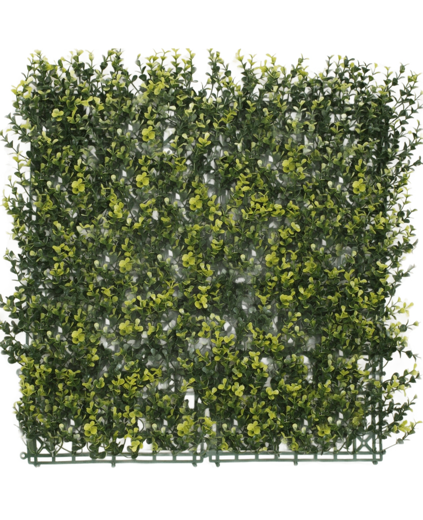 Die künstliche Hecke Buchsbaumgelb 50 x 50 cm UV ist eine quadratische Platte aus dichtem künstlichem grünem Laub mit gelben Blättern, die einer Hecke oder Gartenmauer vor einem schlichten weißen Hintergrund ähneln soll.