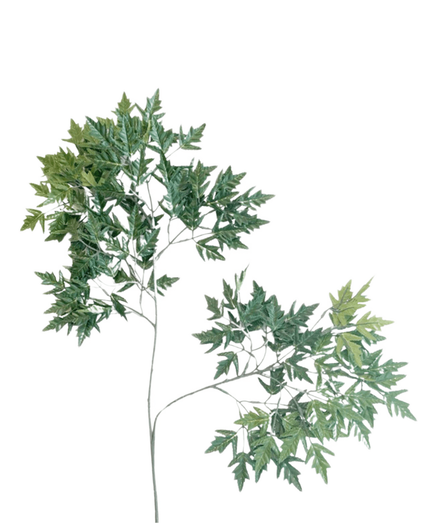 Das künstliche Blatt Ming Aralia 50 cm grün feuerhemmend ist eine hohe, schlanke Kunstpflanze mit dünnen Stielen und Büscheln grüner Blätter mit gezackten Rändern vor einem schlichten weißen Hintergrund.