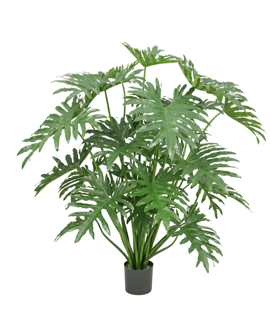 Eine Kunstpflanze Philodendron 125 cm mit großen, grünen, tief gespaltenen Blättern vor weißem Hintergrund.