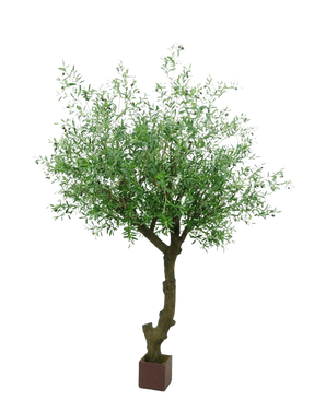 Der künstliche Olivenbaum mit Oliven 270 cm hat einen gedrehten Stamm und dichte grüne Blätter und steht in einem kleinen quadratischen braunen Topf vor einem weißen Hintergrund.