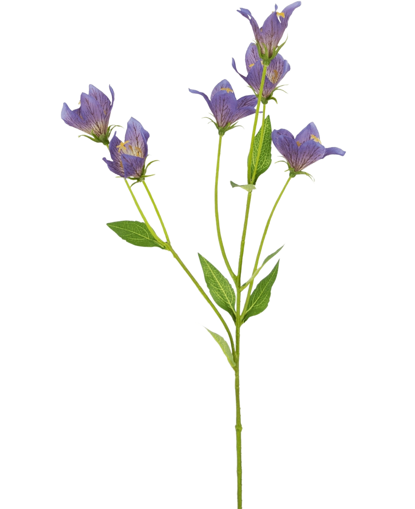 Die künstliche Blumen-Glockenblume 62 cm lila hat einen einzelnen grünen Stiel mit mehreren Zweigen, die jeweils mit zarten lila Blüten und grünen Blättern verziert sind, vor einem schlichten weißen Hintergrund.