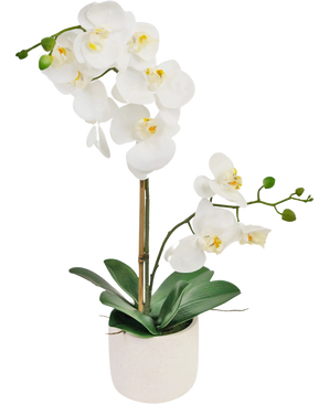 Die künstliche Orchidee Real Touch 60 cm weiß hat zarte weiße Blüten, grüne Knospen und breite grüne Blätter, die von einem dünnen Stab in einem kleinen weißen Topf getragen werden.