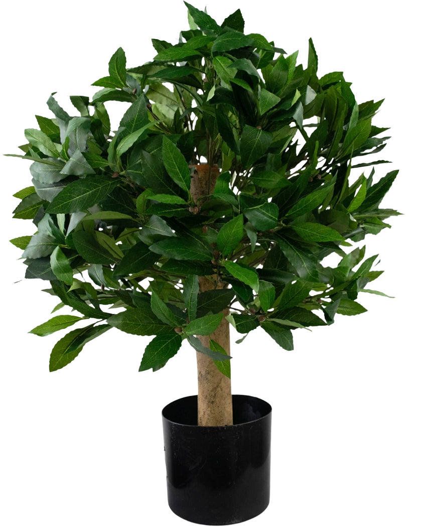 Die künstliche Lorbeer-UV-Pflanze d40 cm ist ein kleiner künstlicher Baum mit dichten grünen Blättern in einem schwarzen Topf, dargestellt vor einem schlichten weißen Hintergrund.