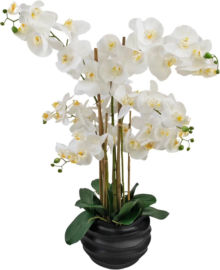 Die künstliche Orchidee Real Touch 85 cm weiß hat große weiße Orchideenblüten mit gelbem Herzen und glänzend grünen Blättern, wunderschön arrangiert in einem schwarzen Keramiktopf.