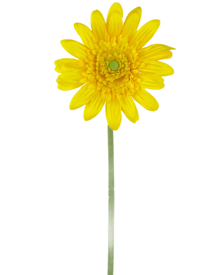 Die künstliche Blume Gerbera 53 cm gelb ist ein einzelnes gelbes künstliches Gänseblümchen mit einem grünen Herzen und einem langen grünen Stiel vor einem schlichten weißen Hintergrund.