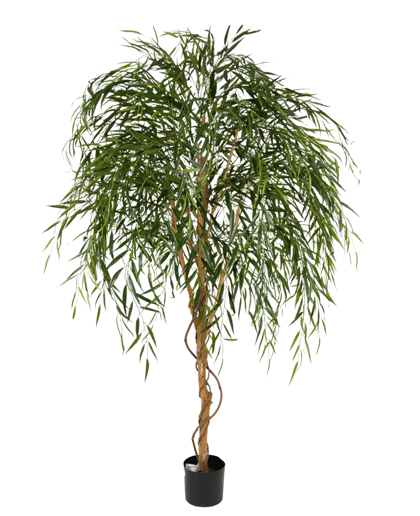 Der künstliche Weidenbaum 210 cm ist ein hoher Kunstbaum mit schlanken, hängenden grünen Blättern und einem gedrehten braunen Stamm vor einem schlichten weißen Hintergrund.