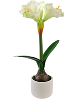 Die künstliche Blume Amaryllis Real Touch weiß 48 cm hat eine lebensechte weiße Amaryllisblüte mit grünen Blättern und sichtbarer Zwiebel in einem kleinen weißen Topf, perfekt, um jedem Raum Eleganz zu verleihen.