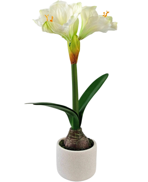 Die künstliche Blume Amaryllis Real Touch weiß 48 cm hat eine lebensechte weiße Amaryllisblüte mit grünen Blättern und sichtbarer Zwiebel in einem kleinen weißen Topf, perfekt, um jedem Raum Eleganz zu verleihen.