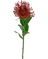 Die künstliche Blume Protea 73 cm rot besteht aus einem einzelnen roten Nadelkissen-Protea mit stacheligen Blütenblättern und grünen Blättern auf einem langen, dünnen Stiel vor einem weißen Hintergrund.