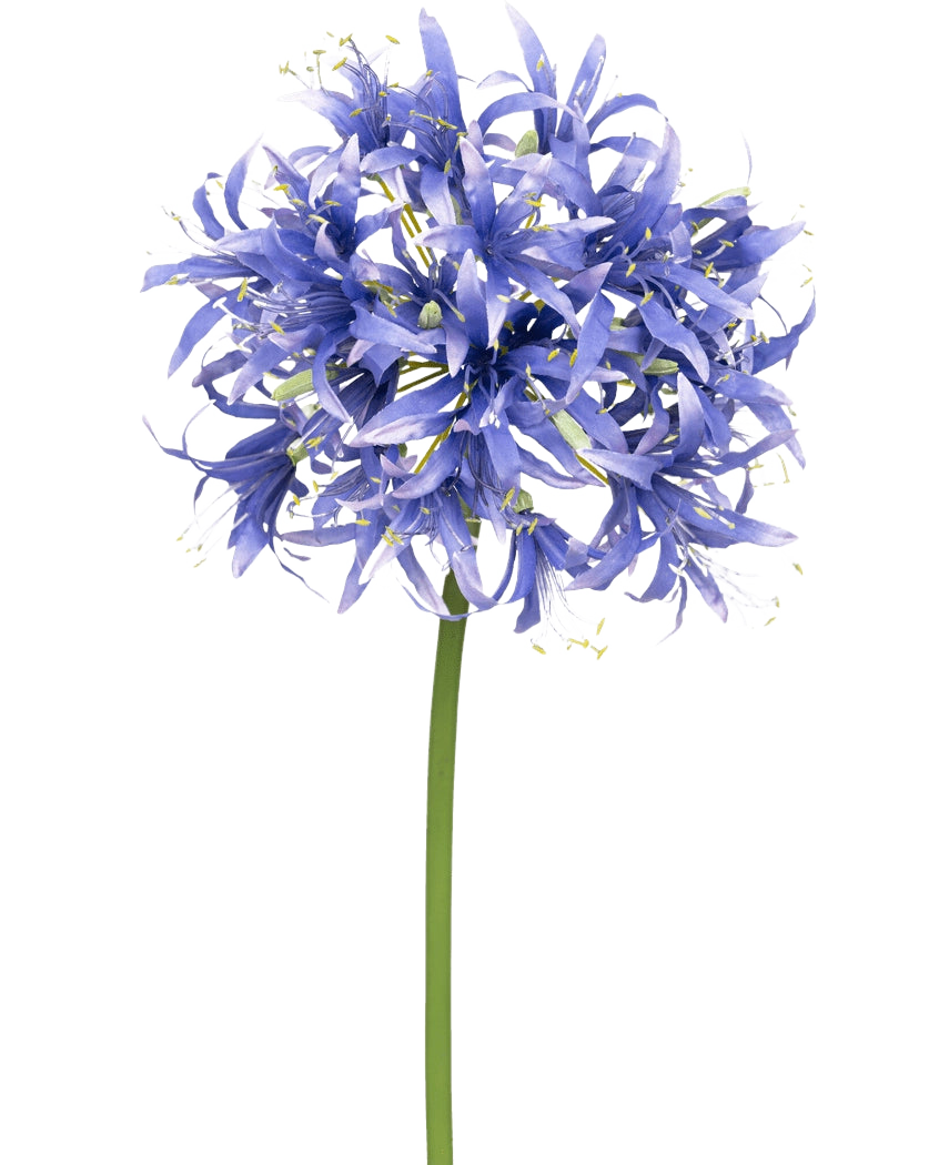 Eine künstliche Nerine-Blume, 70 cm, violett, mit vielen kleinen sternförmigen violetten Blüten in einer kugelförmigen Gruppe auf einem langen grünen Stiel, vor einem schlichten weißen Hintergrund.