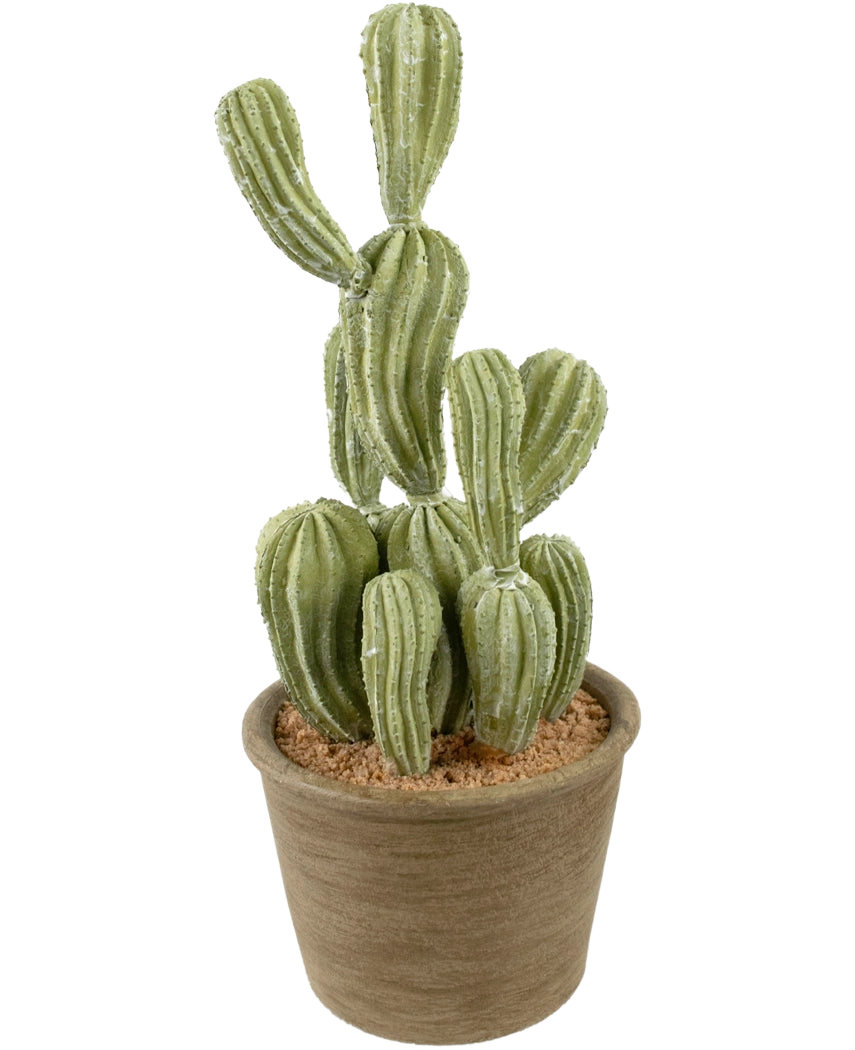 Der künstliche Kaktus Cereus 35 cm hat grüne, gerippte aufrechte Stängel in einem Topf mit brauner Struktur und hellbrauner Erde, vor einem schlichten weißen Hintergrund.