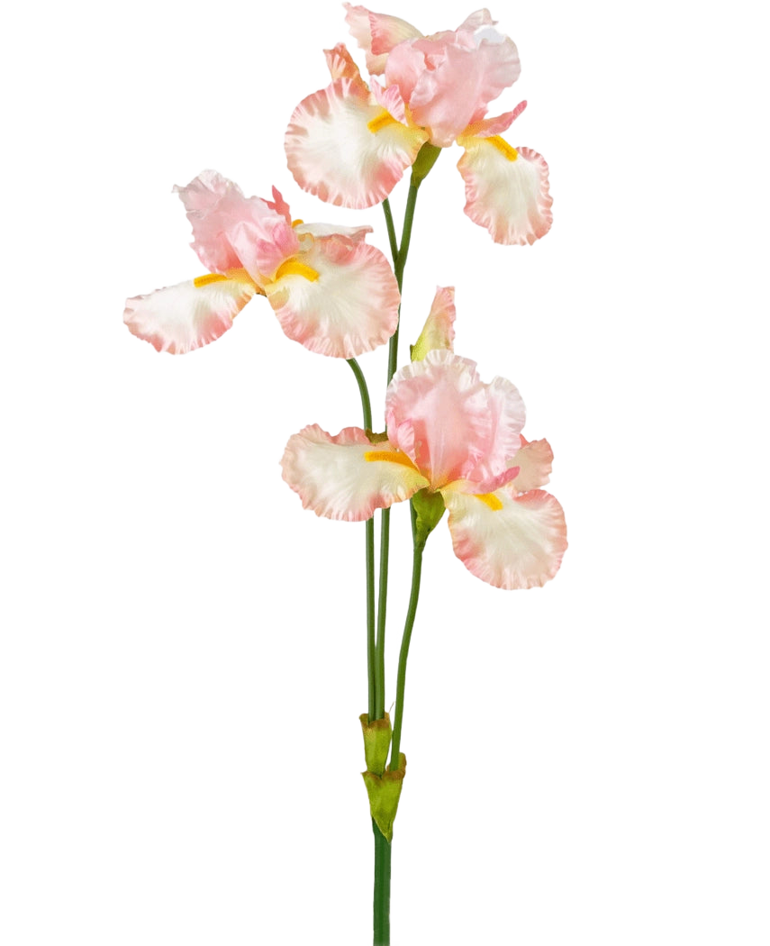Eine künstliche Irisblume, 102 cm, hellrosa, hat mehrere zarte hellrosa und weiße Rüschen mit gelben Akzenten auf einem schlichten weißen Hintergrund.