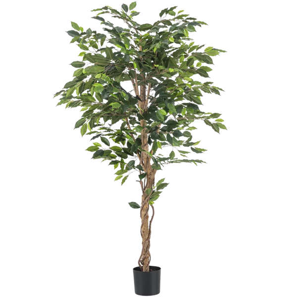 Künstlicher Ficus