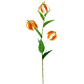 Kunst Gloriosa