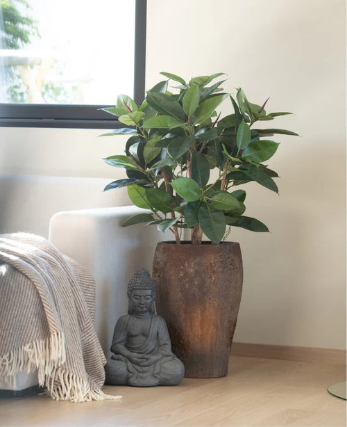 Auf einem hellen Holzboden neben einer grauen Buddha-Statue steht eine künstliche Gummipflanze Deluxe 90 cm, während Sonnenlicht auf ein nahegelegenes Sofa fällt, das in eine beige-weiße Fransendecke gehüllt ist.