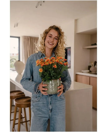 Eine Frau mit lockigen blonden Haaren, die Jeanskleidung trägt, lächelt, während sie die künstliche Gänseblümchen-UV-Pflanze (31 cm) – einen Topf mit leuchtend orangefarbenen und gelben Blumen – in einer modernen Küche hält.
