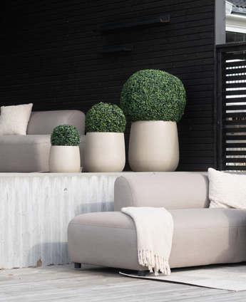 Eine moderne Terrasse verfügt über beige Sitzkissen, eine cremefarbene Decke und vier künstliche Buchsbaum-Formschnittpflanzen im römischen UV-Stil (D30 cm) in hellen Töpfen vor einer dunklen, holzgetäfelten Wand.