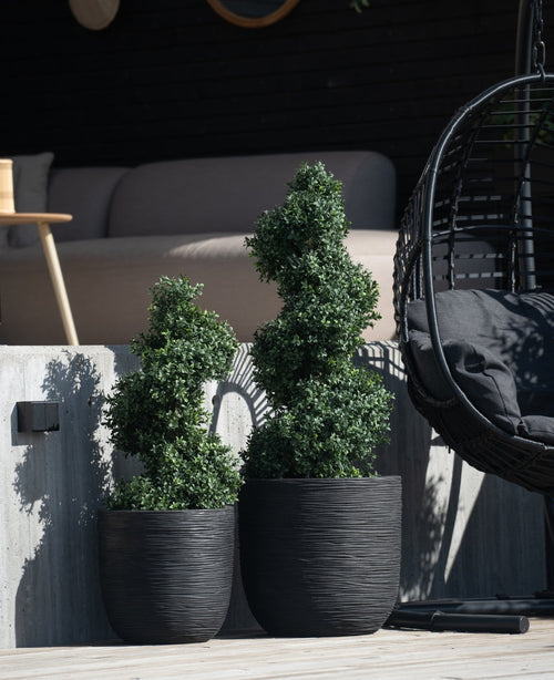 Zwei künstliche Buchsbaumspiralen im römischen UV-Stil, 90 cm, Formschnittpflanzen mit spiralförmigen Blättern stehen auf einer Betonterrasse neben einem schwarzen Hängesessel und einem modernen Außensofa im Hintergrund.