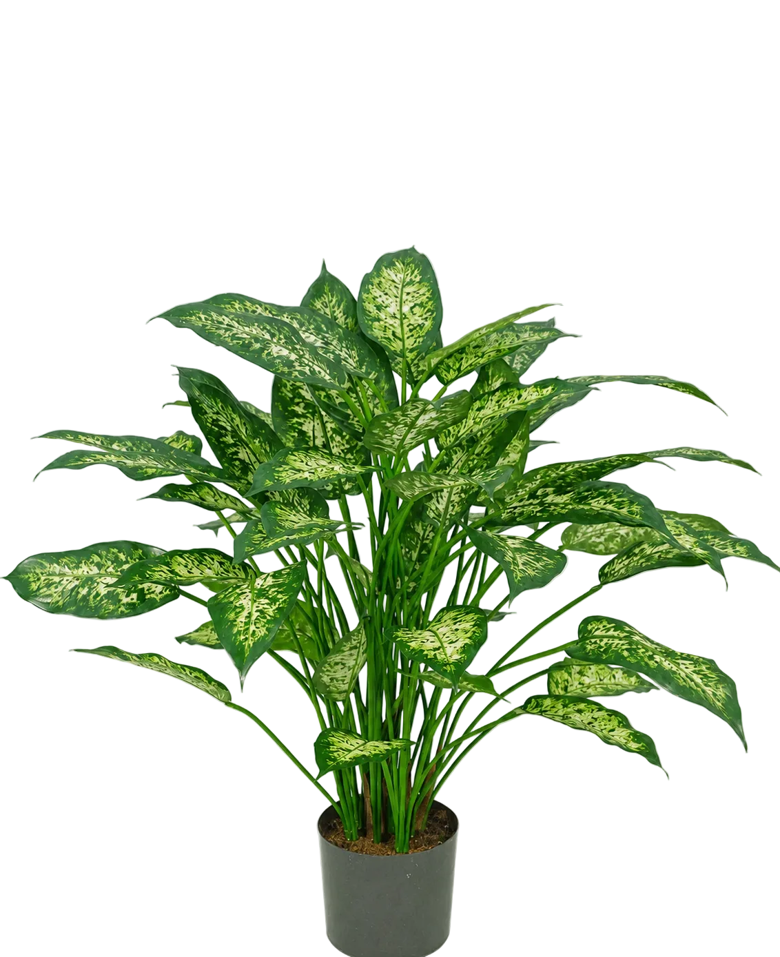 Eine 75 cm große künstliche Dieffenbachia-Pflanze mit üppig grünen Blättern, verziert mit hellgelbgrünen Markierungen, dargestellt vor einem schlichten weißen Hintergrund.