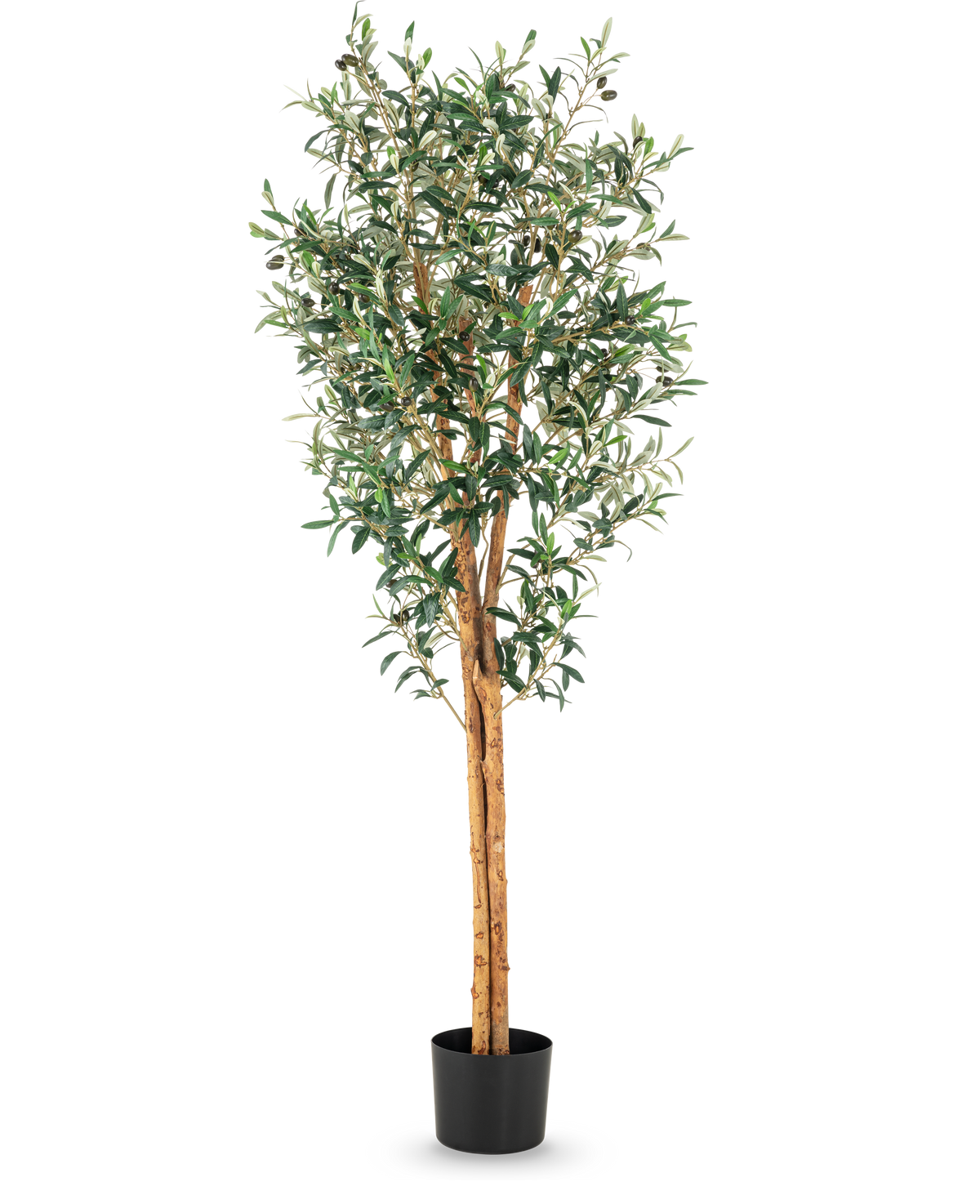 Der künstliche Olivenbaum UV 160 cm ist ein hoher künstlicher Olivenbaum mit schlanken Zweigen, grünen Blättern und einem Stamm mit realistischer Struktur in einem schlichten schwarzen Topf vor weißem Hintergrund.
