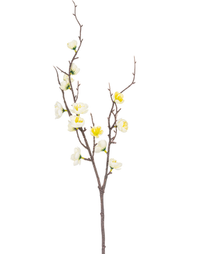 Der künstliche Zweig Prunus 78 cm weiß hat einen einzelnen braunen Zweig mit mehreren Zweigen, verziert mit kleinen weißen und gelben Blüten, vor einem schlichten weißen Hintergrund.