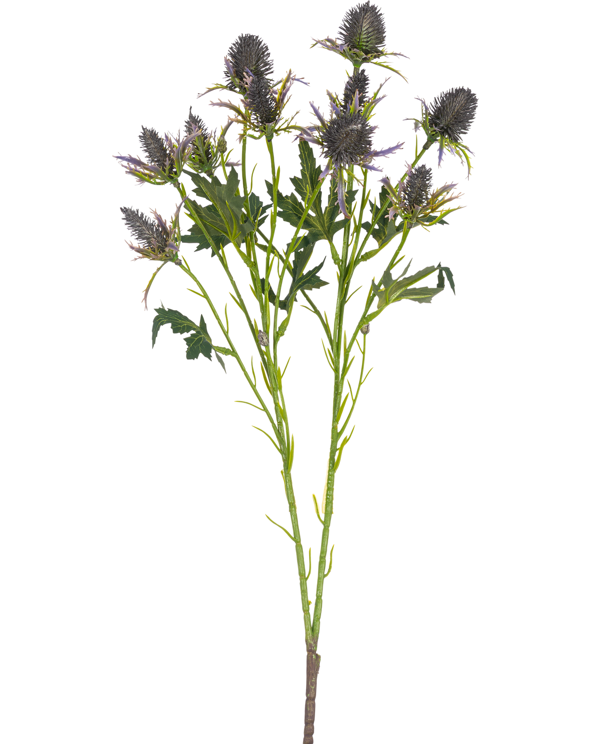 Die künstliche Astdistel 68 cm blau hat einen einzelnen Stiel mit mehreren stacheligen blauen Distelblüten und gezackten grünen Blättern, isoliert auf weißem Hintergrund.
