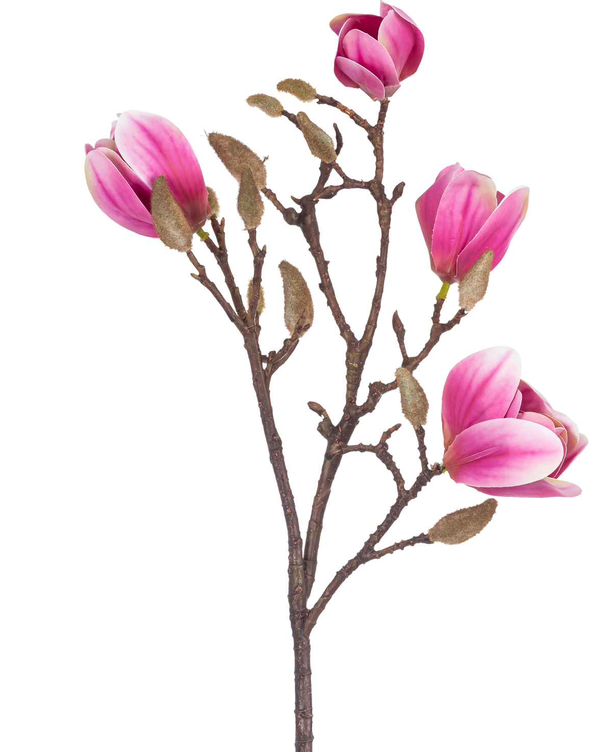Die Kunstblume Magnolie 50 cm rosa ist ein brauner künstlicher Magnolienzweig mit verschiedenen rosa und weißen Blüten und flauschigen Knospen, dargestellt vor einem weißen Hintergrund.