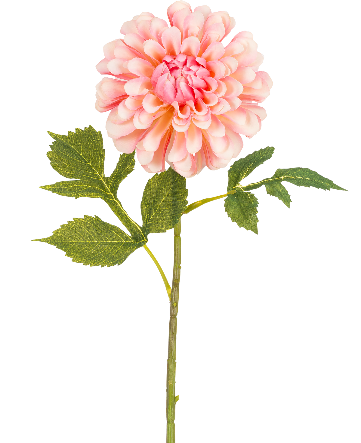 Die künstliche Blumen-Dahlie 50 cm rosa ist eine einzelne rosafarbene künstliche Dahlie mit geschichteten Blütenblättern und einem grünen Stiel mit drei Sätzen gezackter Blätter vor einem weißen Hintergrund.