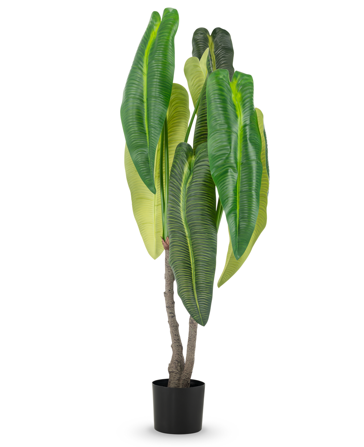 Eine künstliche Pflanze Anthurium 150 cm mit großen Blättern im Topf.