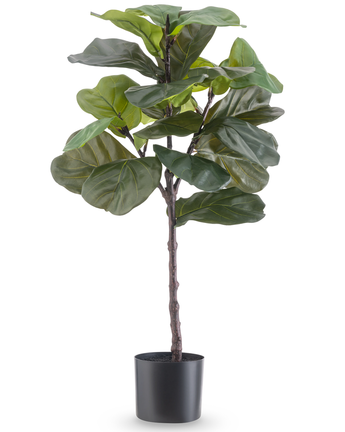 Die Kunstpflanze Ficus Tabakpflanze Deluxe 90 cm ist eine hohe künstliche Zimmerpflanze mit großen, glänzend grünen Blättern in einem schwarzen Topf, dargestellt vor einem schlichten weißen Hintergrund.