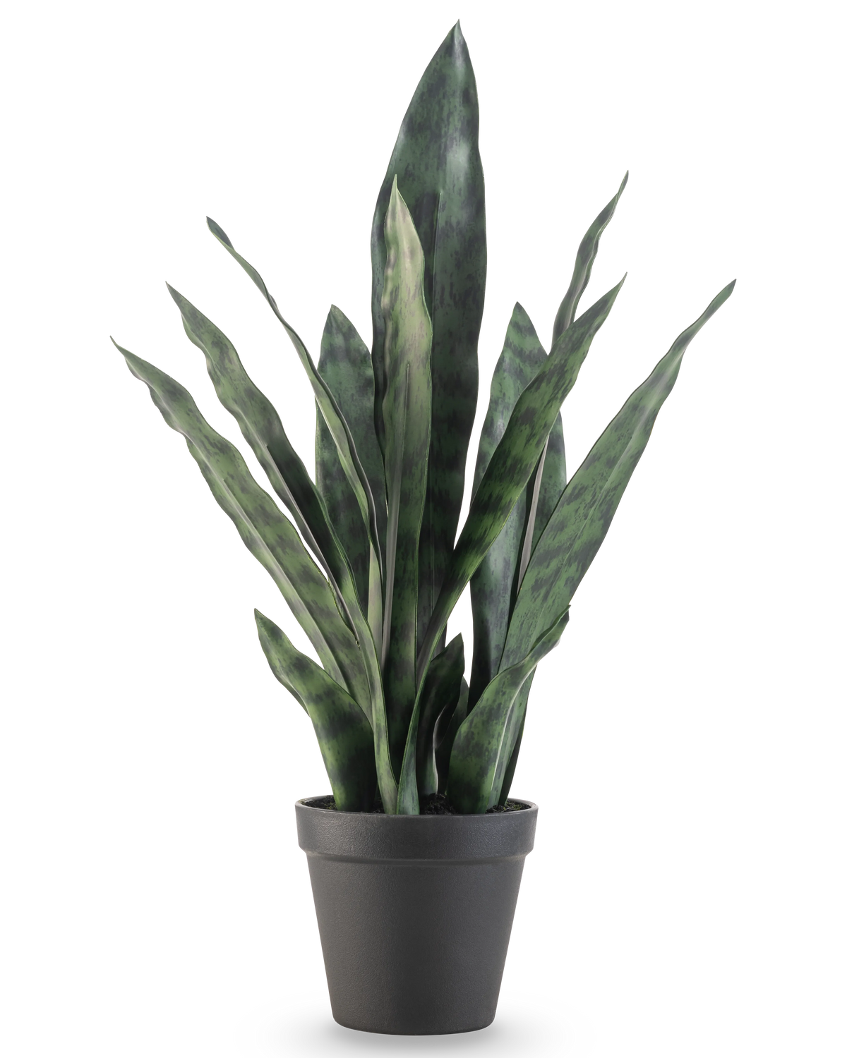 Die Kunstpflanze Sansevieria Zeylanica 44 cm hat lange, aufrechte grüne Blätter mit bunten Mustern, präsentiert in einem schlichten schwarzen Topf vor einem schlichten weißen Hintergrund.