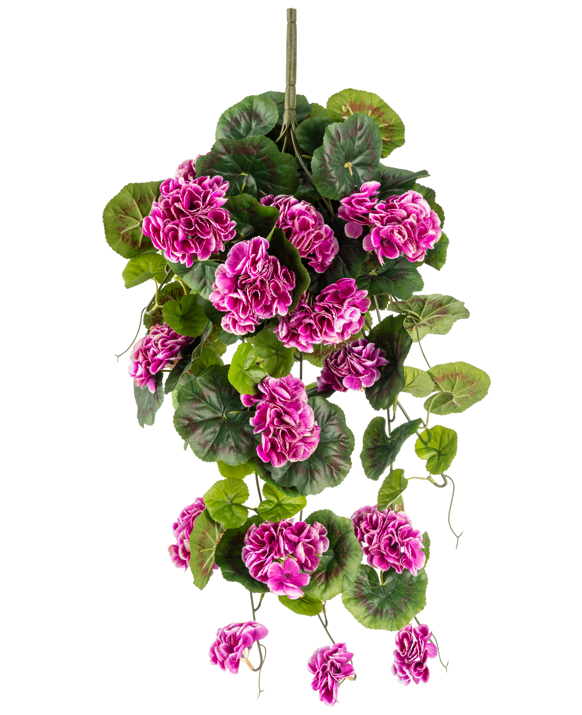 Die künstliche Hängepflanze Geranium 75 cm lila hat üppige grüne Blätter und Büschel leuchtend lila-magentafarbener Blüten mit weißen Rändern, die anmutig an einem vertikalen Stiel herunterfallen und so eine schöne Hängedekoration ergeben.