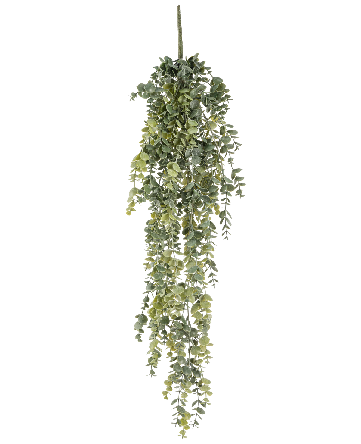 Die künstliche Hängepflanze Eukalyptus 60 cm hat realistische, kleine runde grüne Blätter, die herunterfallen und so einen lebensechten künstlichen Eukalyptus vor einem schlichten weißen Hintergrund bilden.