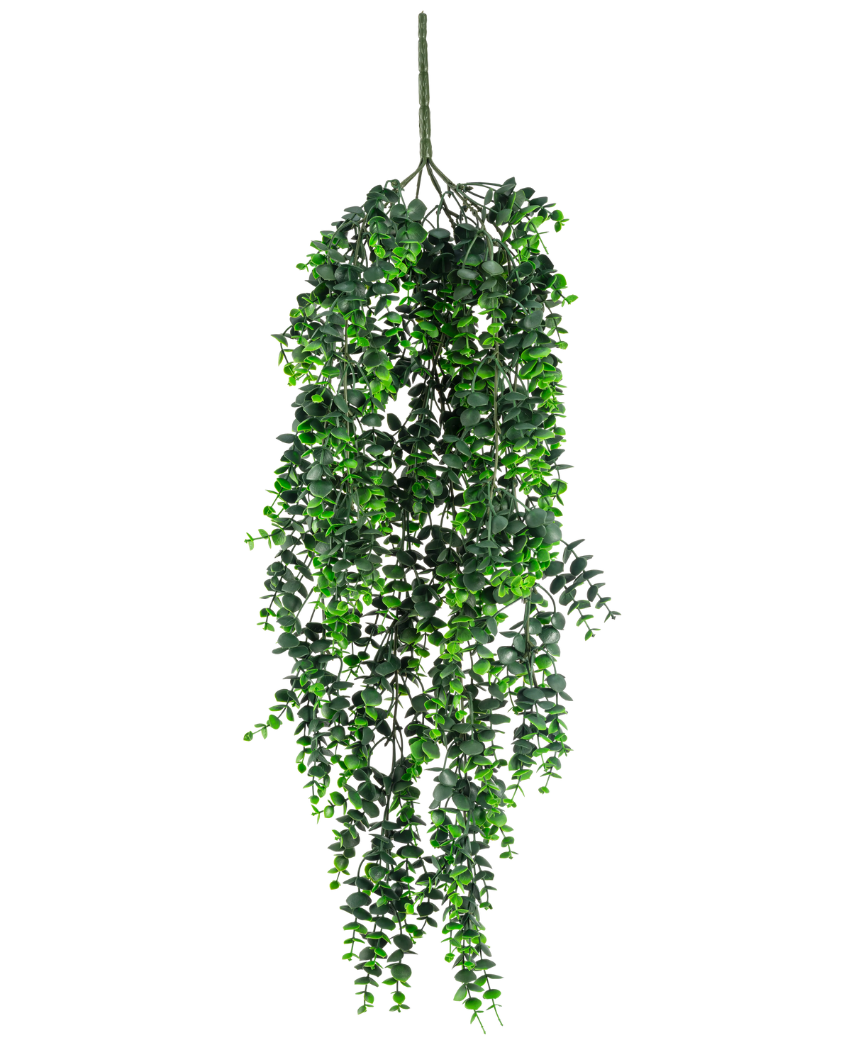 Die künstliche Hängepflanze Eukalyptus UV 80 cm hat dichte, herabhängende grüne Blätter und einen sichtbaren Stiel an der Spitze vor einem schlichten weißen Hintergrund.