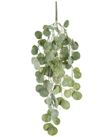 Die künstliche Hängepflanze Eukalyptus 73 cm hat runde grüne Blätter an mehreren Stielen, die anmutig vor einem weißen Hintergrund hängen.
