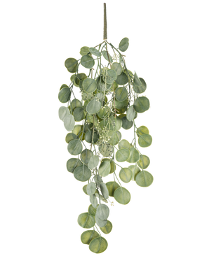 Die künstliche Hängepflanze Eukalyptus 73 cm hat runde grüne Blätter an mehreren Stielen, die anmutig vor einem weißen Hintergrund hängen.
