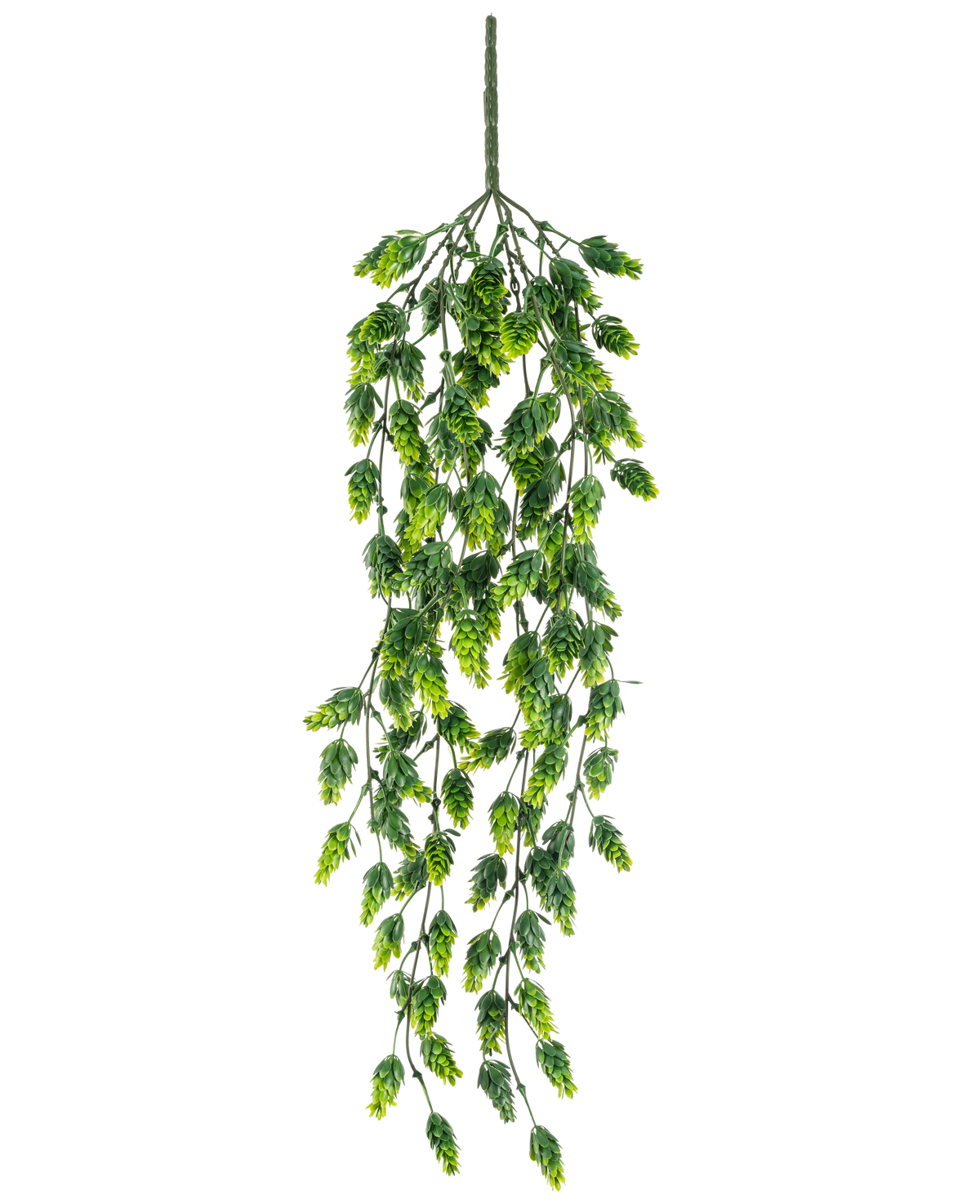 Die künstliche Hängepflanze Hopfen UV 80 cm ist eine hängende Kunstpflanze mit kaskadierenden grünen Blättern an langen, schlanken Stielen, isoliert auf weißem Hintergrund.