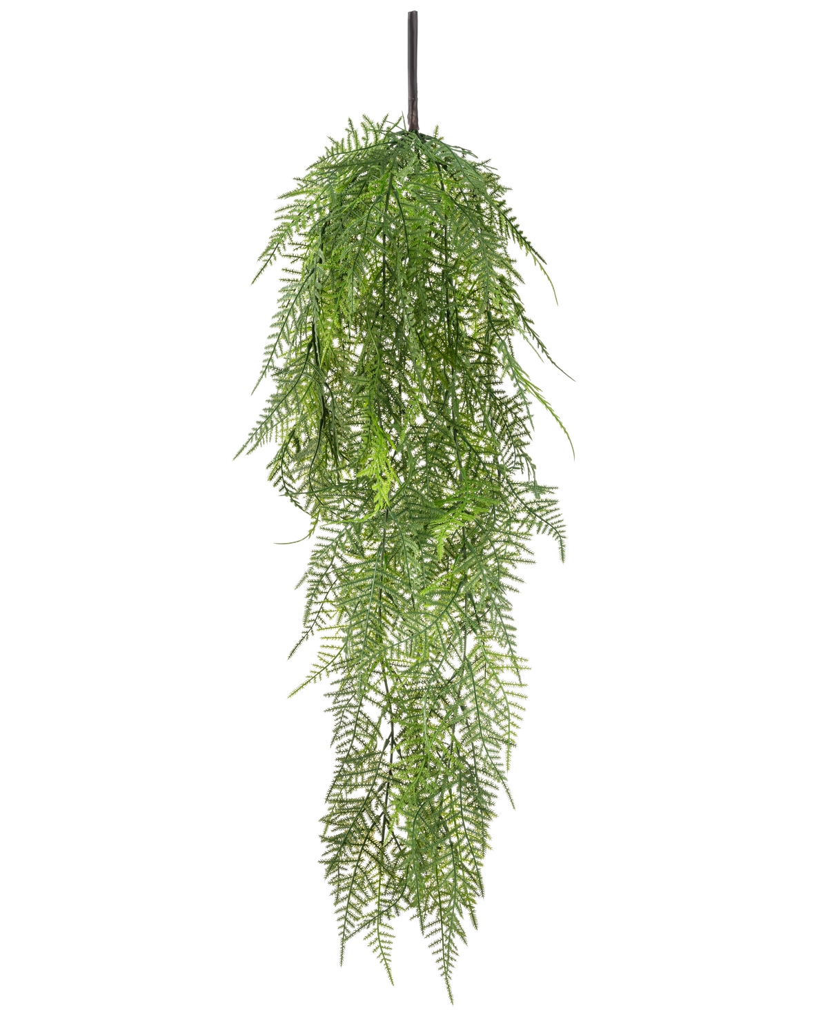 Die künstliche Hängepflanze Spargel 78 cm hat lange, zartgrüne Blätter, die herunterfallen und ein üppiges, naturgetreues Bild vor einem schlichten weißen Hintergrund erzeugen.