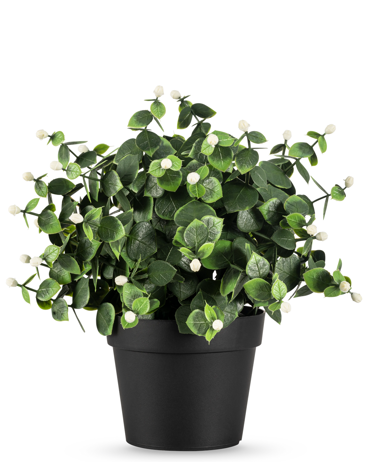 Die Kunstpflanze Eukalyptus weiß im UV-Topf 22 cm hat dichte grüne Blätter und kleine weiße Knospen in einem schlichten schwarzen Topf, perfekt, um jeden Raum aufzuhellen.