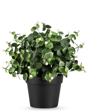 Die Kunstpflanze Eukalyptus weiß im UV-Topf 22 cm hat dichte grüne Blätter und kleine weiße Knospen in einem schlichten schwarzen Topf, perfekt, um jeden Raum aufzuhellen.