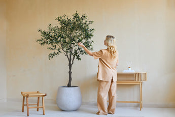 Eine Frau in lockerer beiger Kleidung steht neben einem 200 cm hohen künstlichen Olivenbaum und berührt sanft die Blätter. Daneben stehen an der beigen Wand ein Holzhocker und ein Konsolentisch mit Büchern und einem Diffusor.