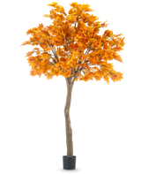 Der künstliche Baumahorn 280 cm ist ein hoher künstlicher Ahorn mit leuchtend orangefarbenen Herbstblättern in einem schwarzen Topf, isoliert auf einem weißen Hintergrund.