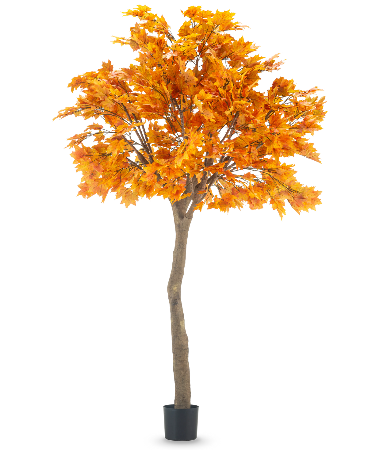 Der künstliche Baumahorn 280 cm ist ein hoher künstlicher Ahorn mit leuchtend orangefarbenen Herbstblättern in einem schwarzen Topf, isoliert auf einem weißen Hintergrund.