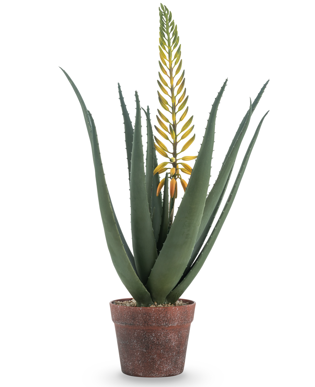 Die künstliche Aloe-Pflanze mit Blüte 66 cm ist eine künstliche Aloe Vera in einem Topf mit langen, dicken grünen Blättern und einem langen gelben Blütenzweig, isoliert auf weißem Hintergrund.