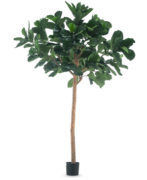 Die künstliche Baum-Tabakpflanze 260 cm ist eine hohe Kunstpflanze mit sattgrünen Blättern und einem schlanken braunen Stamm, in einem kompakten schwarzen Topf und vor einem schlichten weißen Hintergrund.