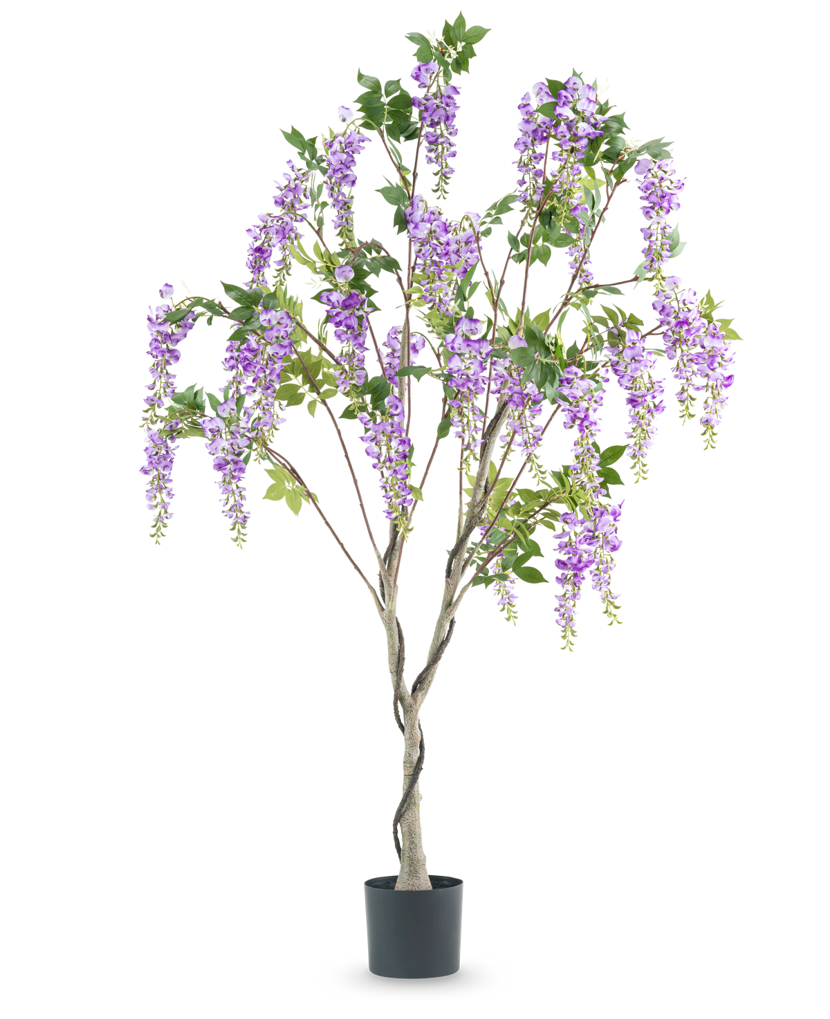 Die 180 cm große künstliche Wisteria-Pflanze hat einen gedrehten Stamm mit lebensechten Büscheln lila Blüten und grünen Blättern vor einem weißen Hintergrund.