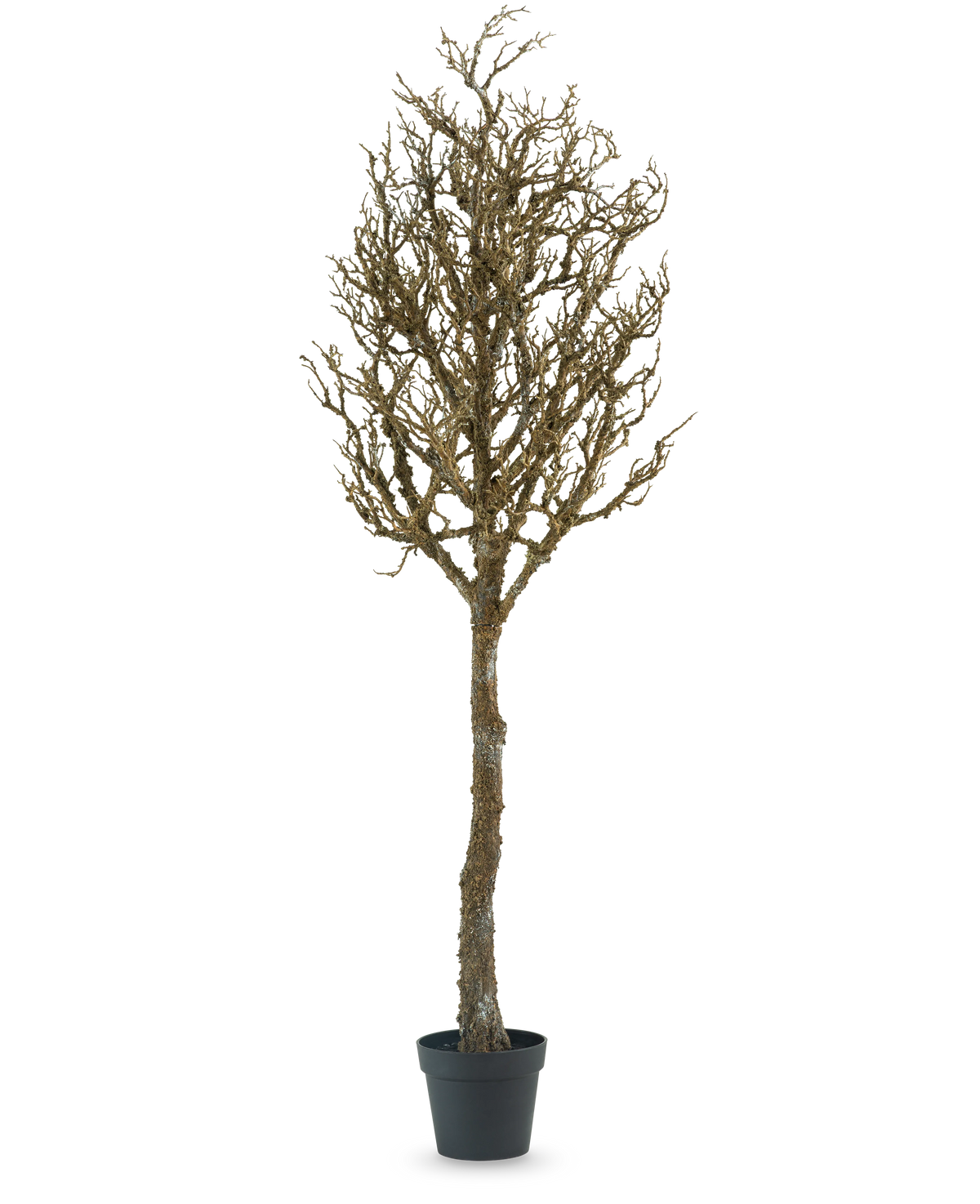 Der Dekobaum Art mit Ästen 180 cm ist ein kahler, blattloser Baum mit vielen Ästen in einem schwarzen Kunststofftopf vor einem schlichten weißen Hintergrund.